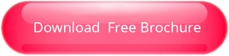 Hooded Blanket Brochure